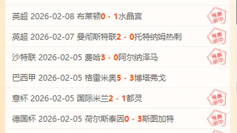 洛国富替补登场表现抢眼 赛后向球迷致歉