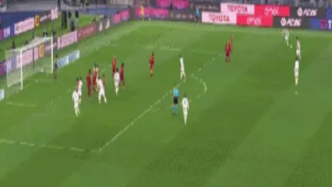 “广州龙狮新星恋情曝光，宿舍入住女友遭处罚停赛，熬夜赶作业引热议”